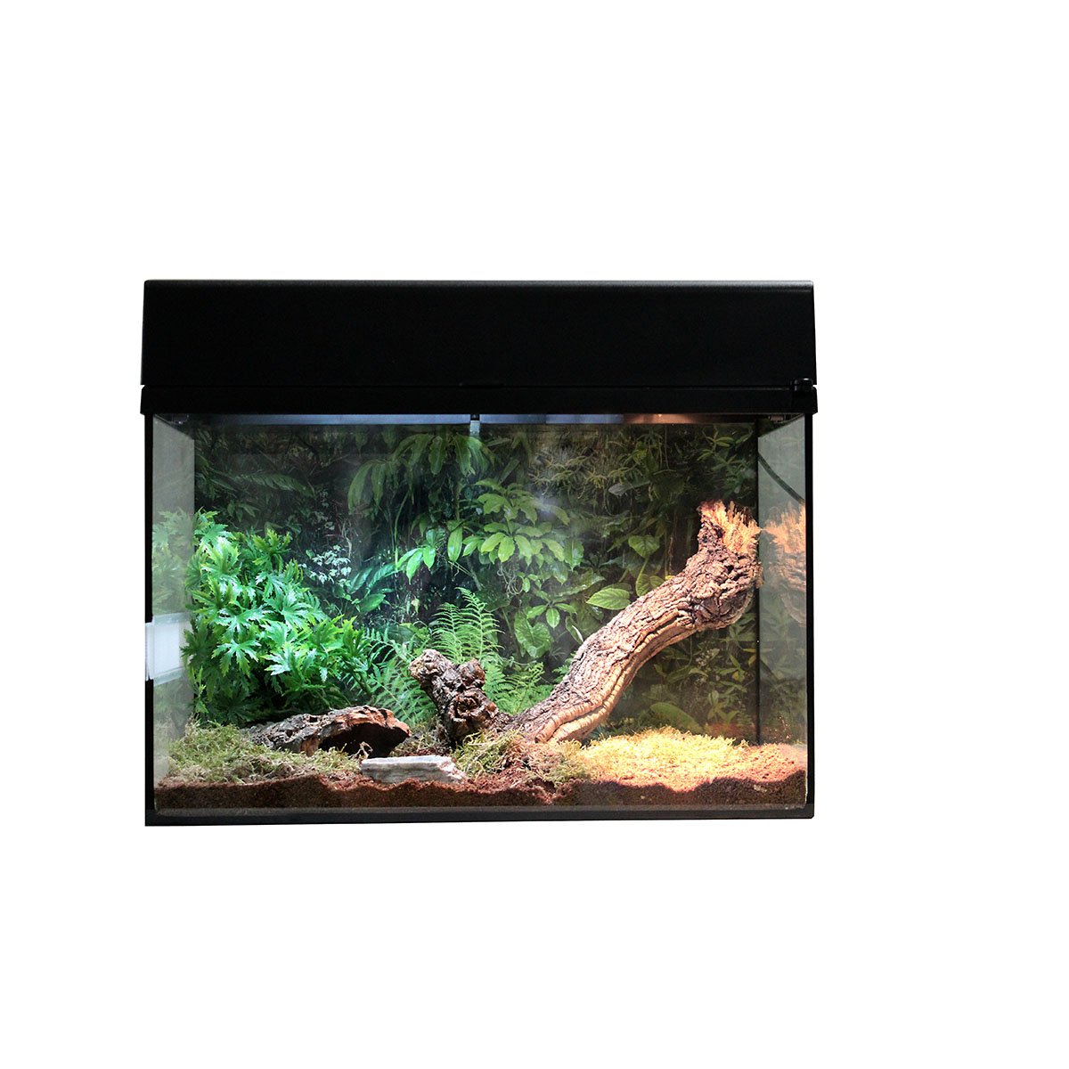 Lucky Reptile Terrarium Starter Kit 50 cm "Spinne + Skorpion"