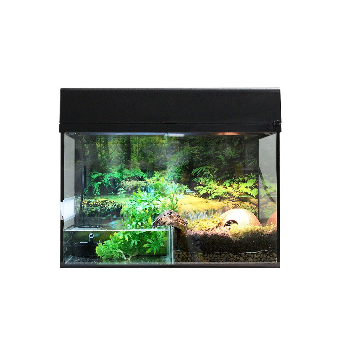 Lucky Reptile Terrarium Starter Kit 80 cm "Bombina/Pacman"